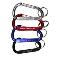 Medium Size Carabiner Keyholder with Split Ring Attachment